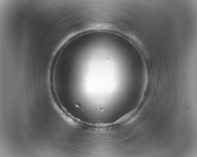 X0000068721422200605051421