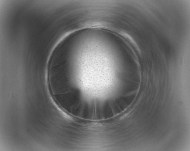 X0000068721424200605051421