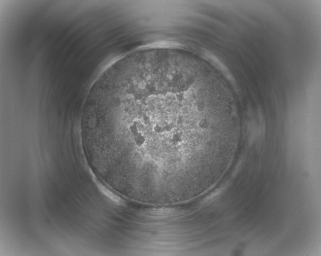 X0000068721425200605051421