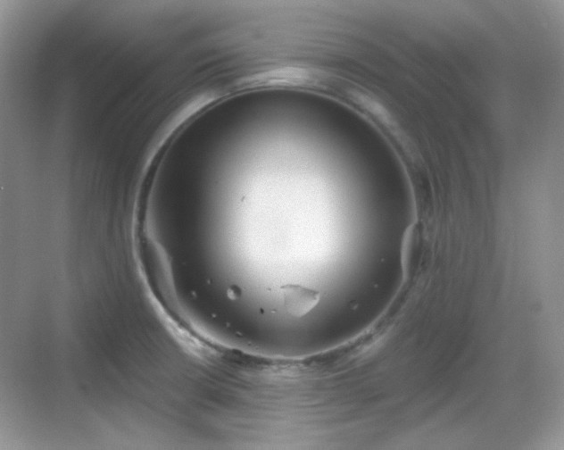 X0000068721426200605051421