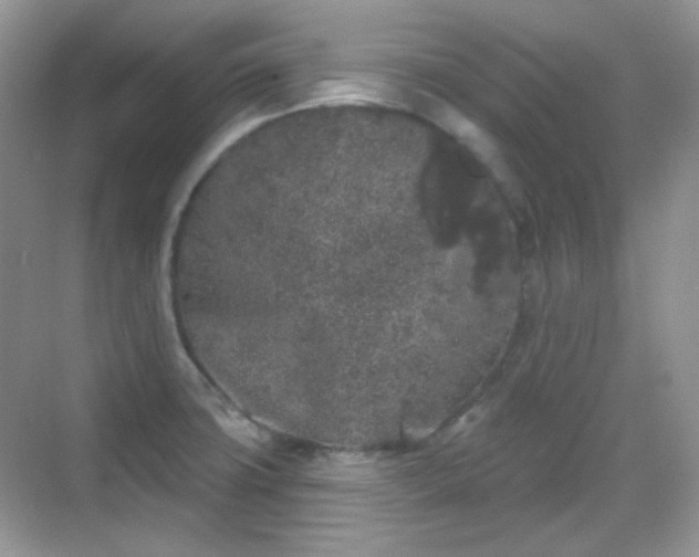 X0000068721427200605051421