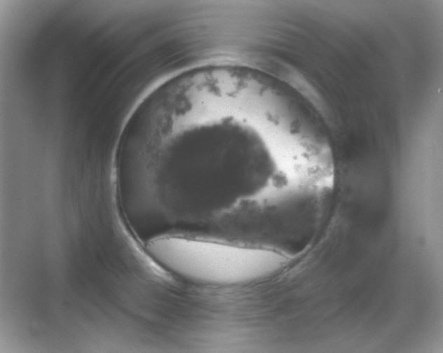 X0000068721428200605051421