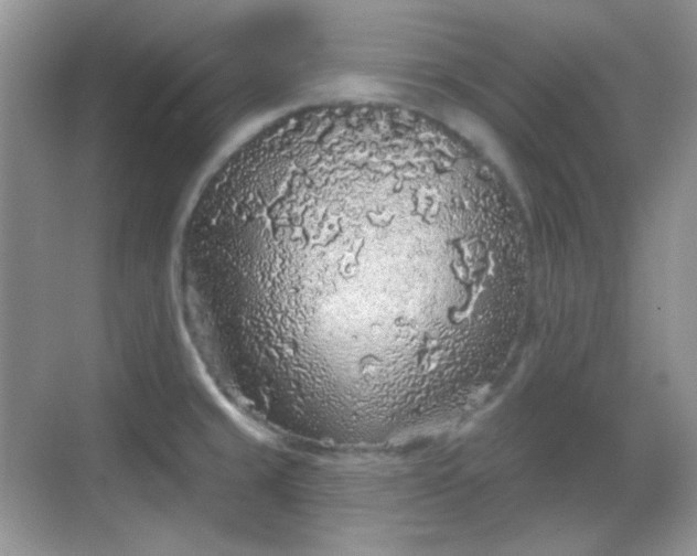 X0000068721429200605051421