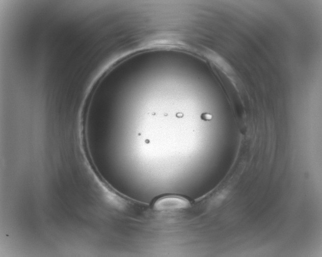 X0000068721430200605051421