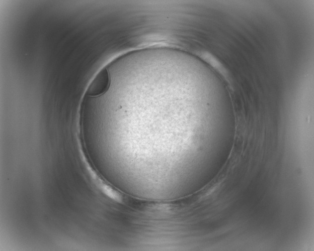 X0000068721431200605051421