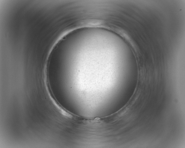 X0000068721432200605051421