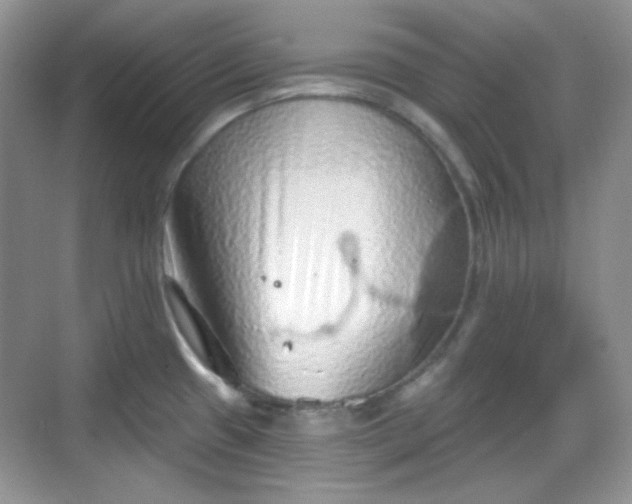 X0000068721433200605051421