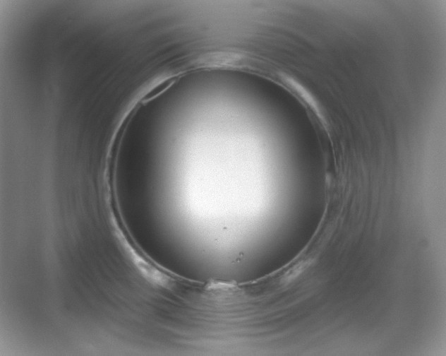 X0000068721434200605051421