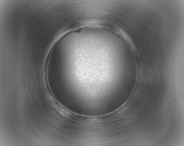 X0000068721435200605051421