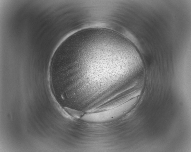 X0000068721436200605051421