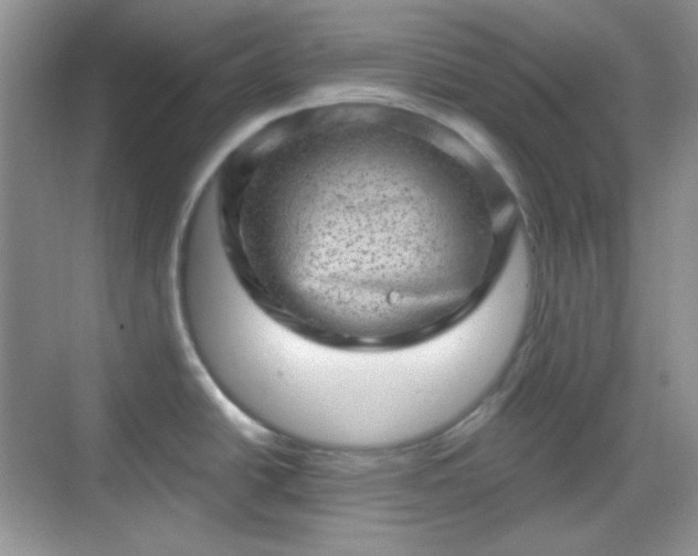 X0000068721438200605051421