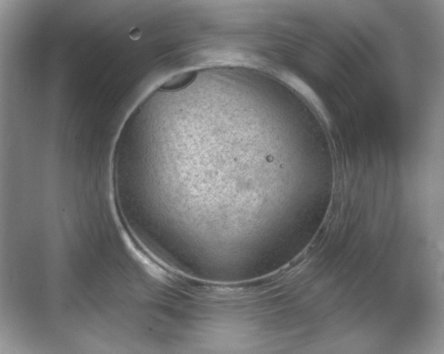 X0000068721439200605051421