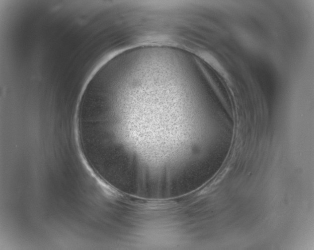 X0000068721440200605051421