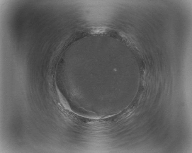 X0000068721441200605051421