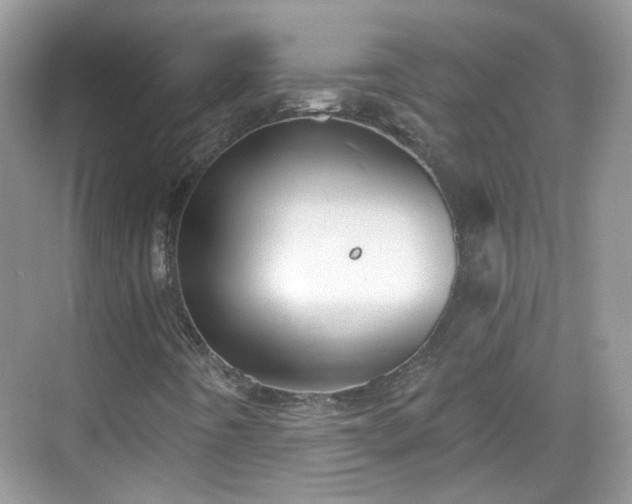 X0000068721442200605051421