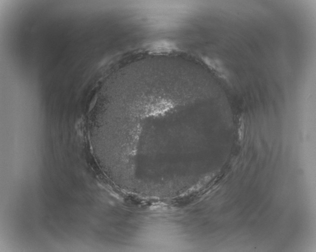 X0000068721445200605051421