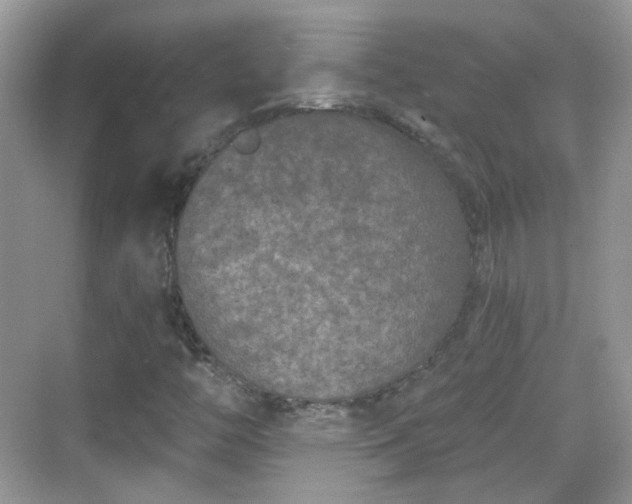 X0000068721446200605051421