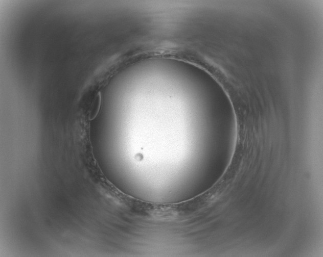 X0000068721447200605051421