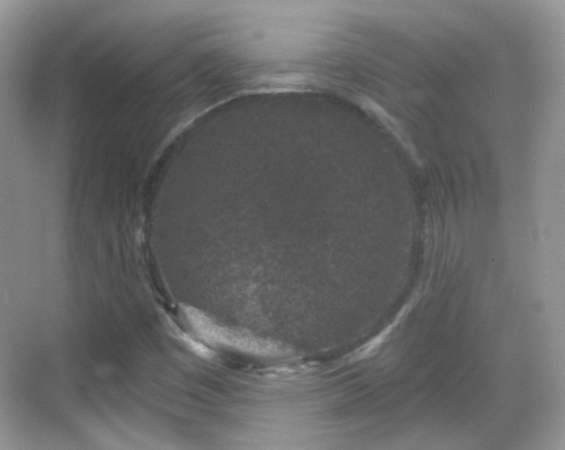 X0000068721449200605051421