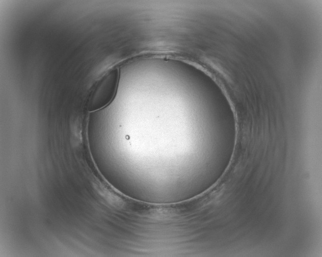 X0000068721451200605051421