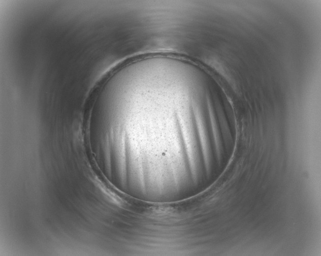 X0000068721452200605051421