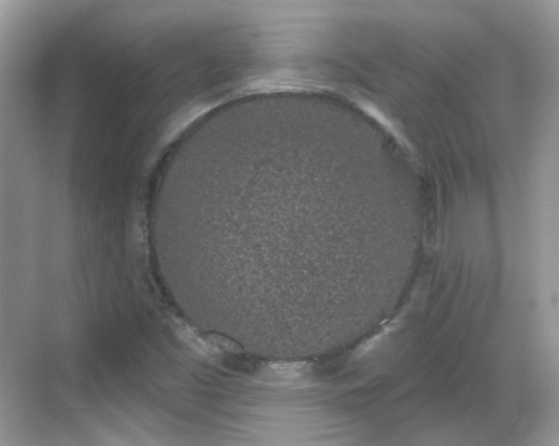 X0000068721453200605051420