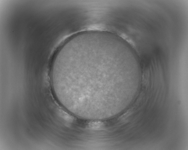 X0000068721454200605051420