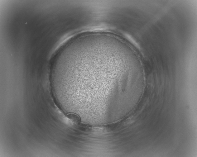 X0000068721456200605051420