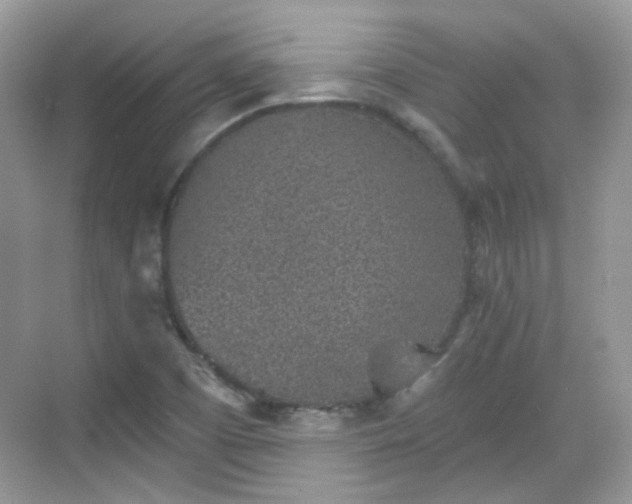 X0000068721457200605051420