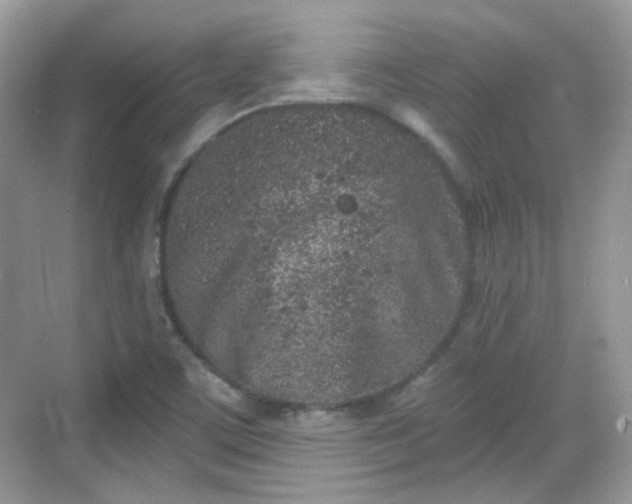 X0000068721459200605051420