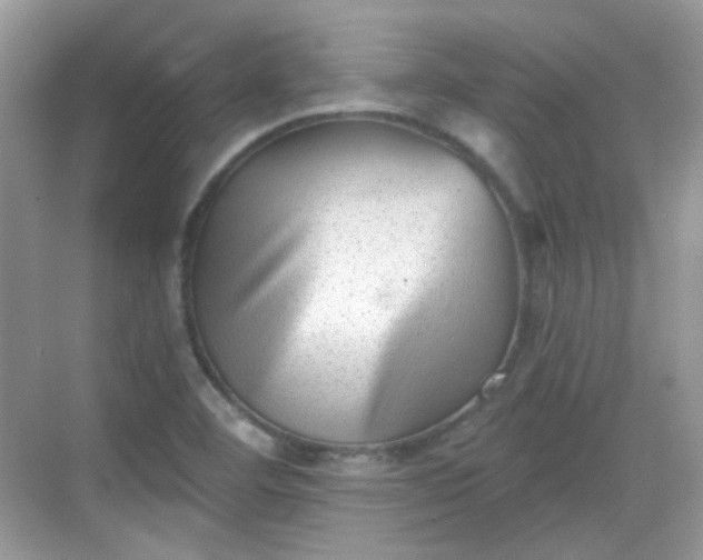 X0000068721460200605051420