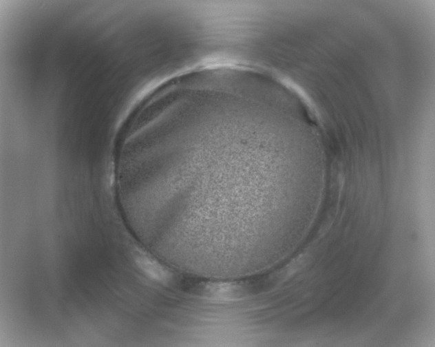 X0000068721461200605051420