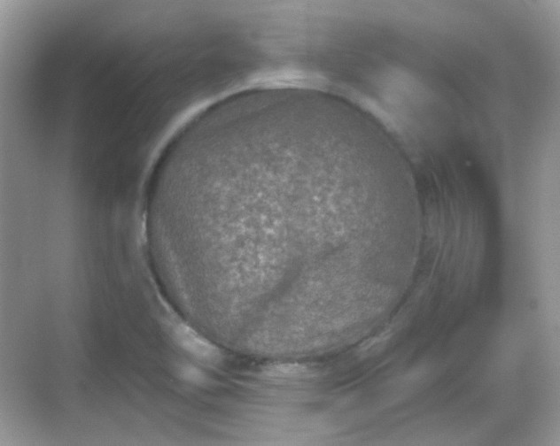 X0000068721462200605051420