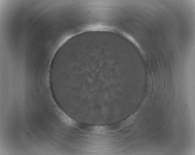 X0000068721463200605051420