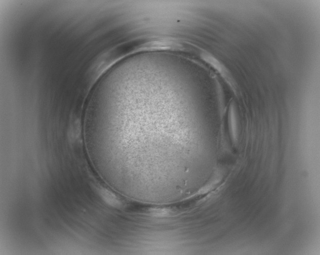 X0000068721465200605051420