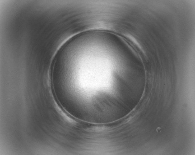 X0000068721468200605051420