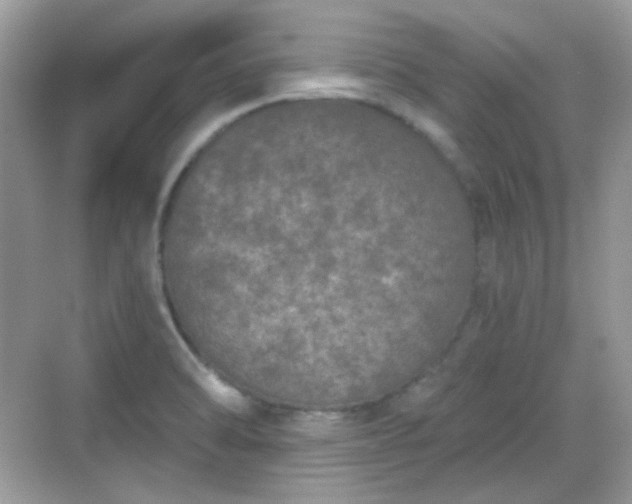 X0000068721470200605051420