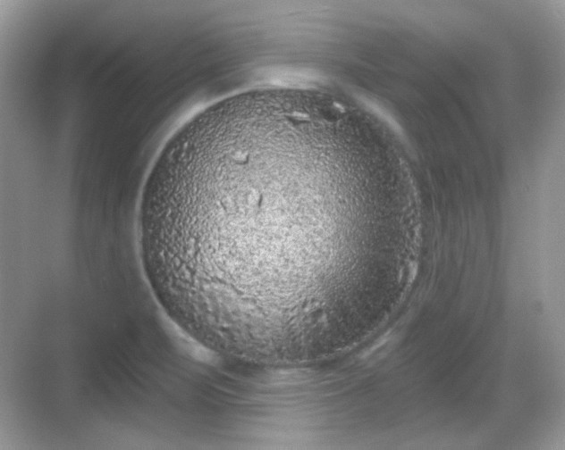 X0000068721471200605051420