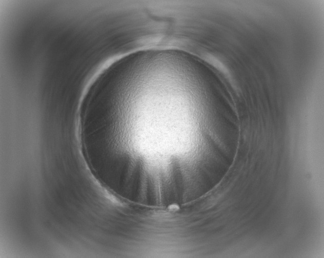 X0000068721472200605051420