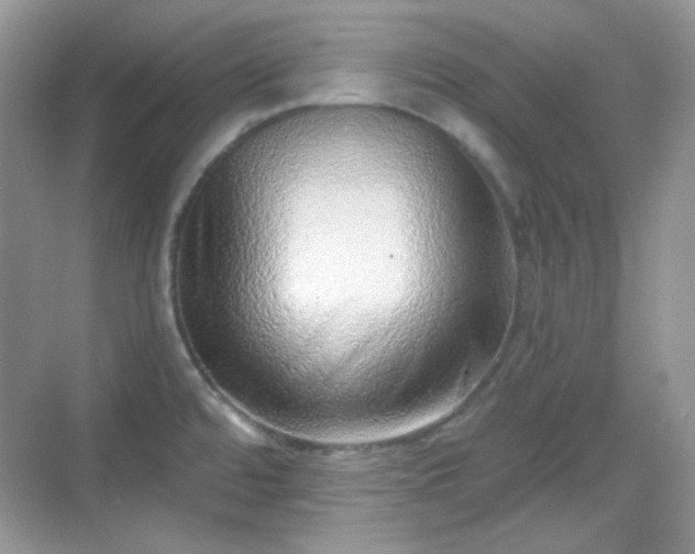 X0000068721480200605051420