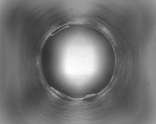 X0000068721481200605051420