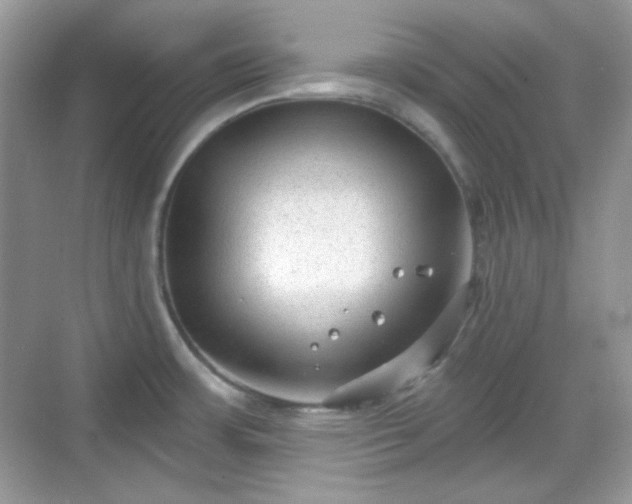 X0000068721483200605051420