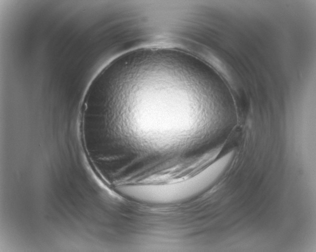 X0000068721484200605051420