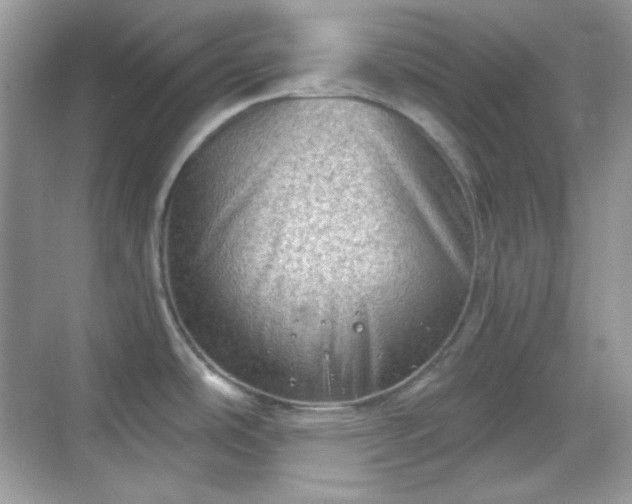 X0000068721486200605051420