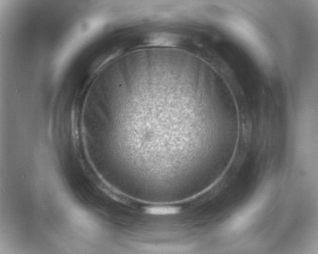 X0000068721487200605051420