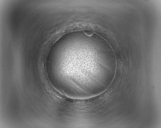 X0000068721489200605051419