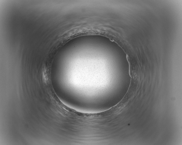 X0000068721490200605051419