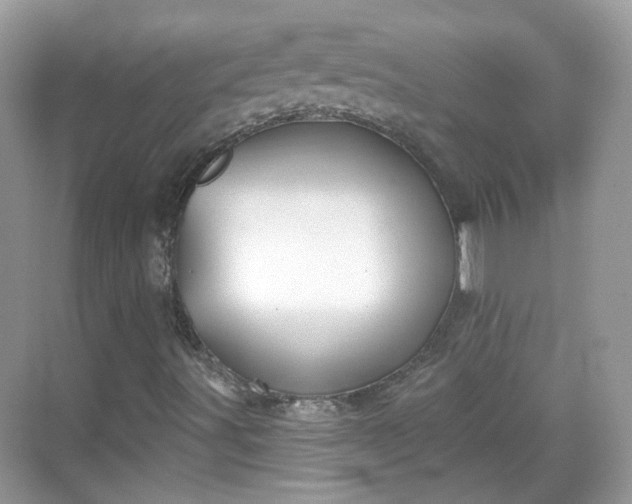 X0000068721491200605051419