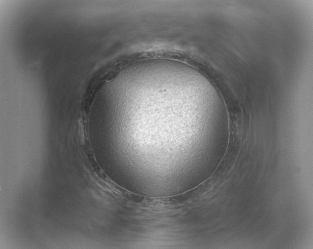 X0000068721493200605051419