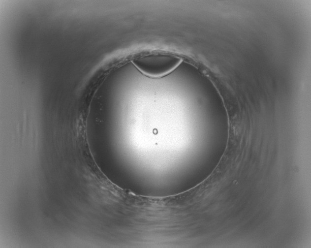 X0000068721495200605051419